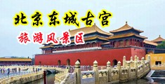 大鸡巴操狗逼马逼驴逼高清视频中国北京-东城古宫旅游风景区